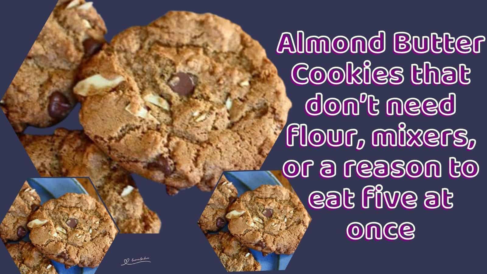 an image of a blue serving plate with Almond Butter Cookies