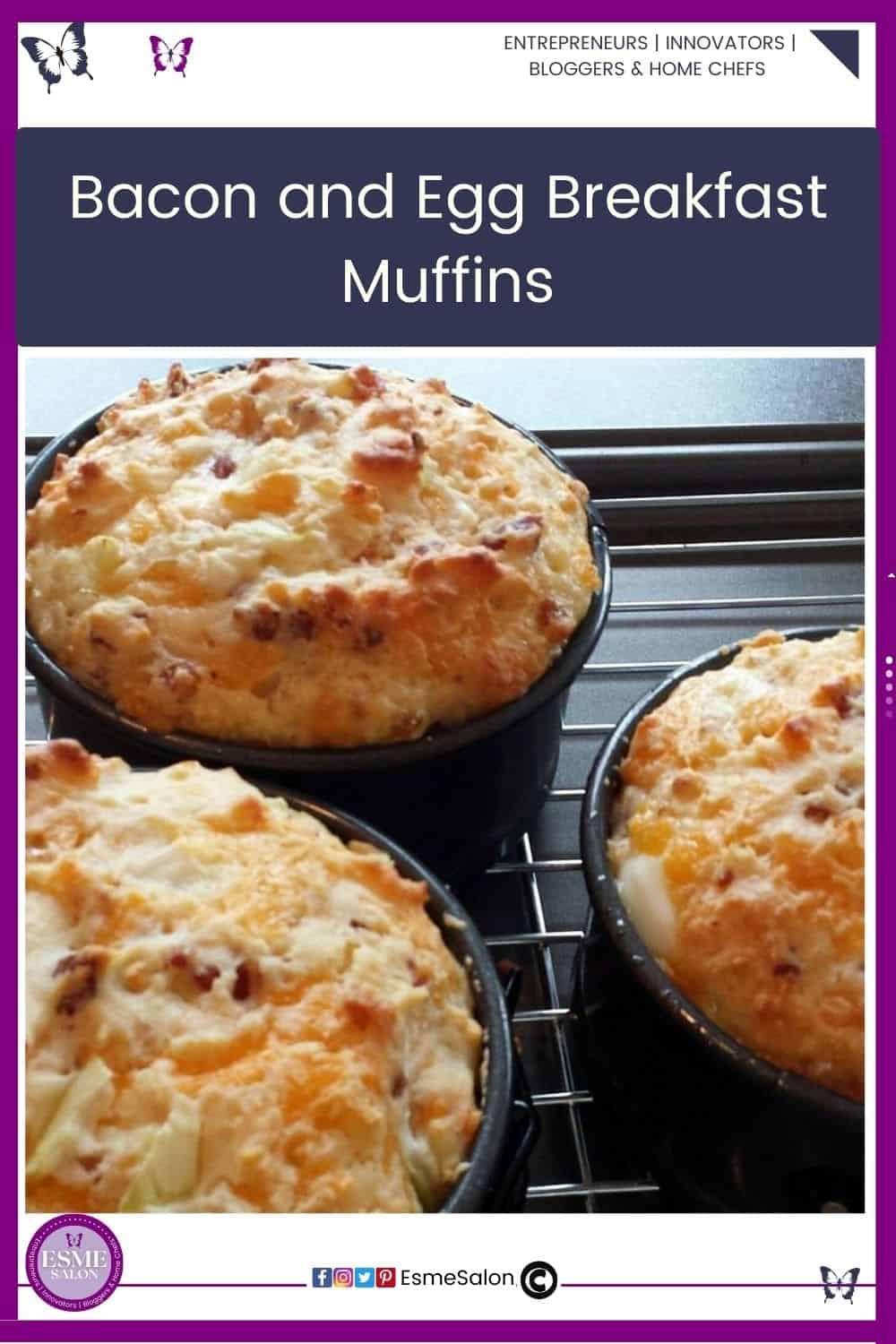 an image of 3 single serving Bacon and Egg Breakfast Muffins in springform tins