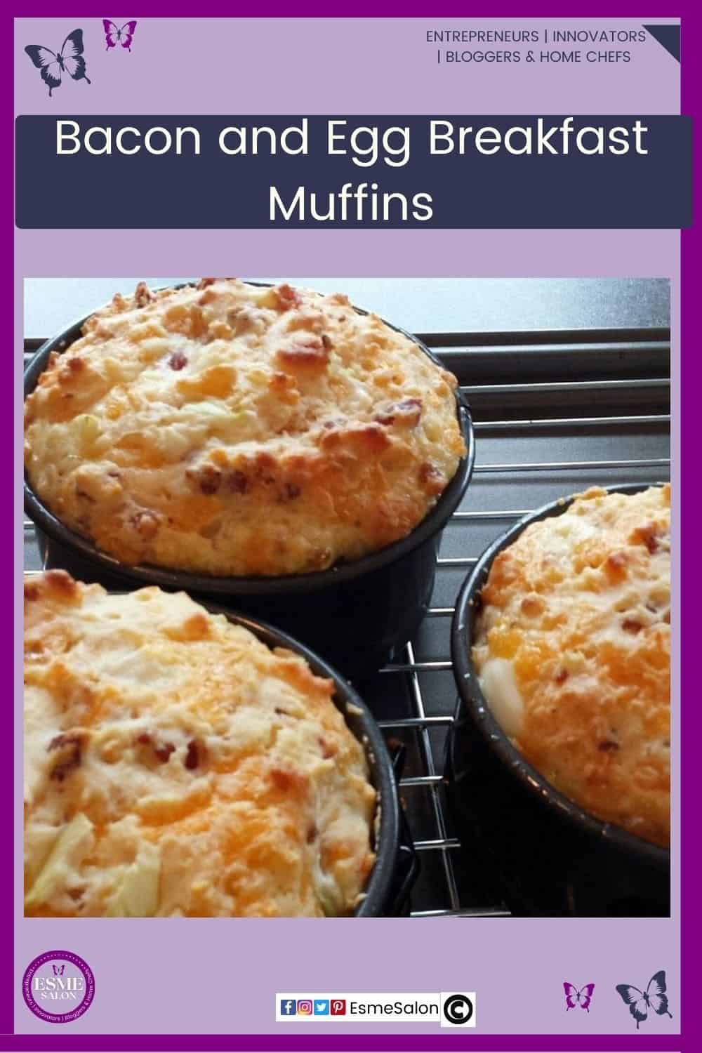 an image of 3 single serving Bacon and Egg Breakfast Muffins in springform tins
