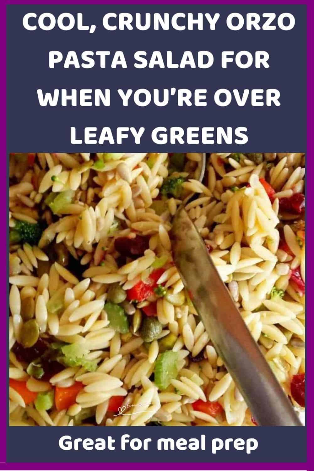 an image of a bowl of Orzo Pasta Salad with a wooden salad spoon