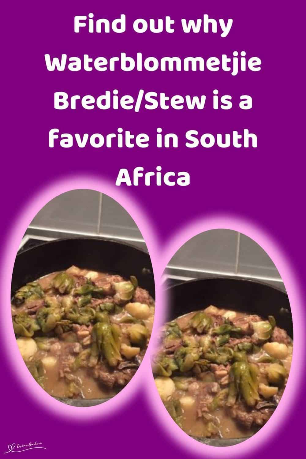 an image of a three-legged cast-iron pot filled with Waterblommetjie Bredie/Stew