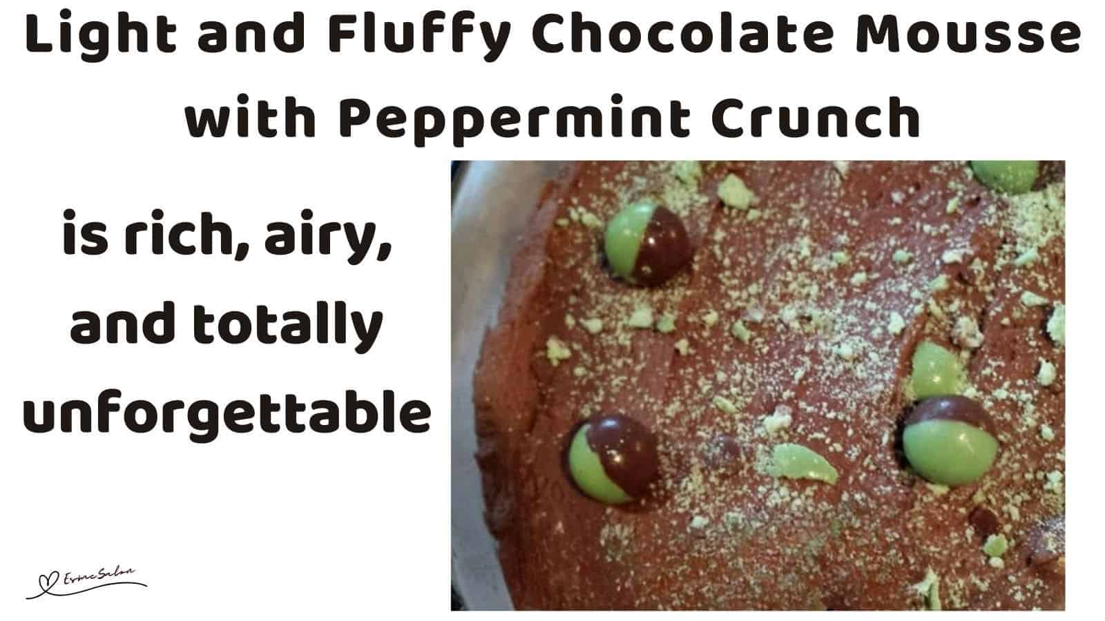 an image of a bowl of Light Fluffy Chocolate Mousse