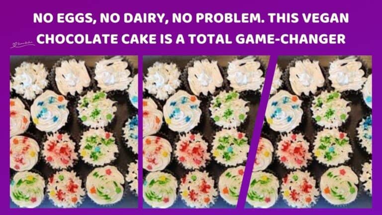 an image of Vegan Chocolate cupcakes with sprinkles and other decoration for a 2-year-old birthday party