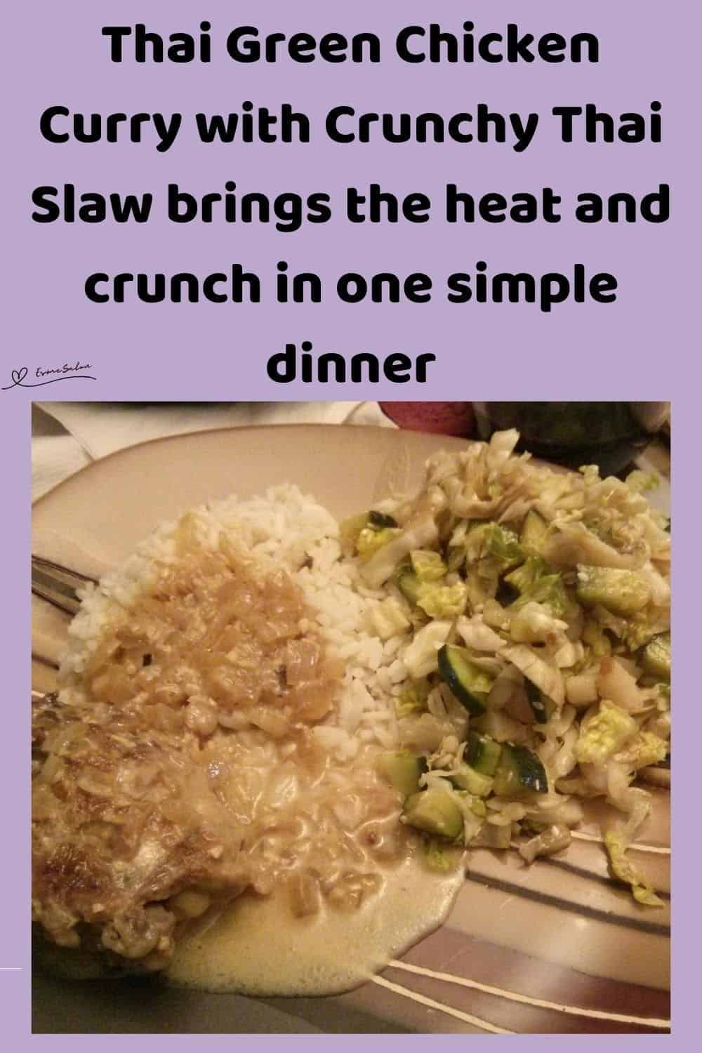 an image of a plate with sauce Thai Green Chicken Curry with Crunchy Thai Slaw on the side