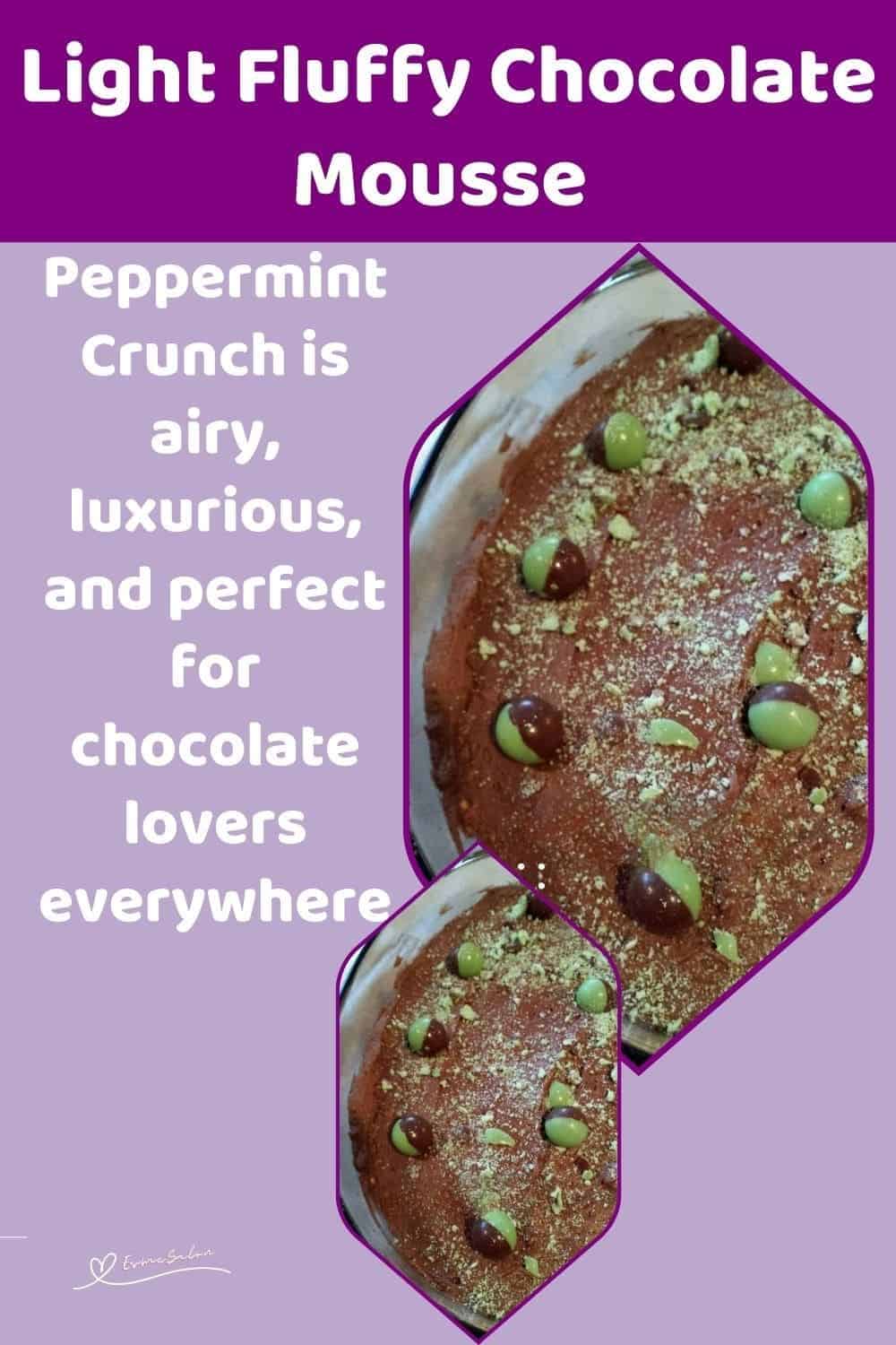 an image of a bowl of Light Fluffy Chocolate Mousse