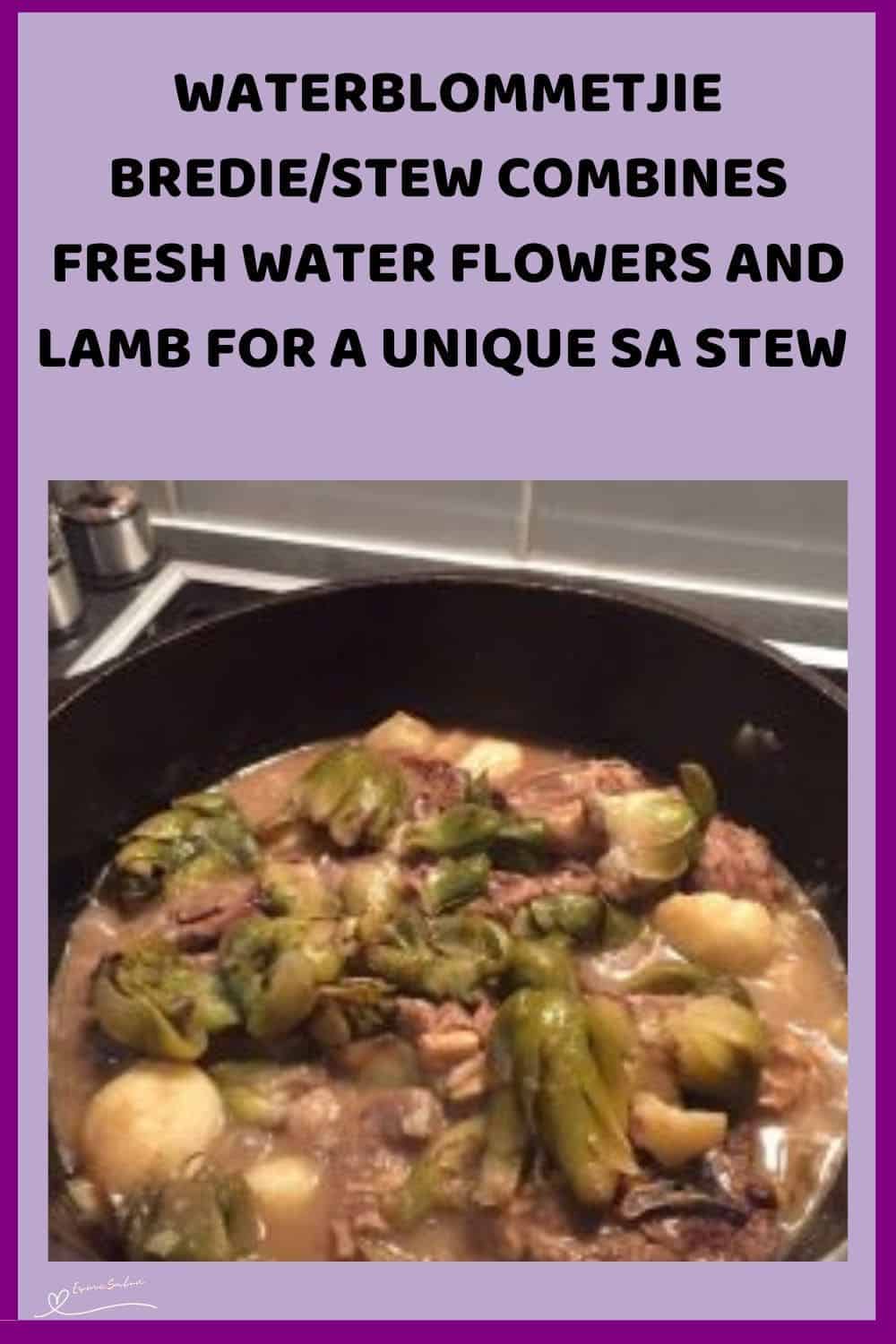 an image of a three-legged cast-iron pot filled with Waterblommetjie Bredie/Stew