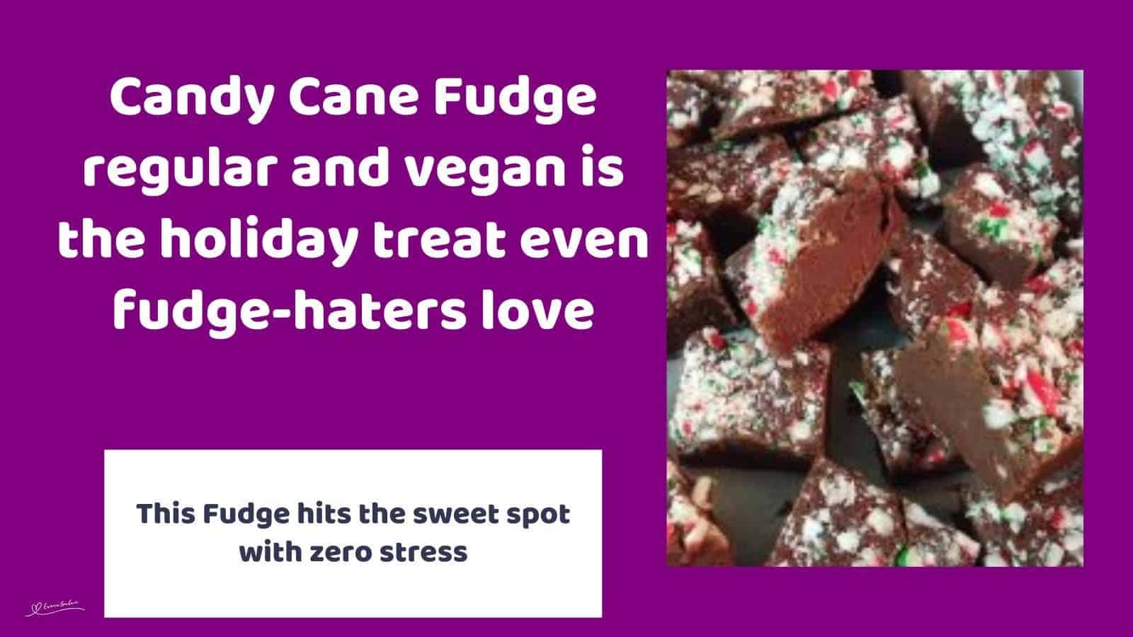 an image of chocolate fudge with peppermint candy cane pieces