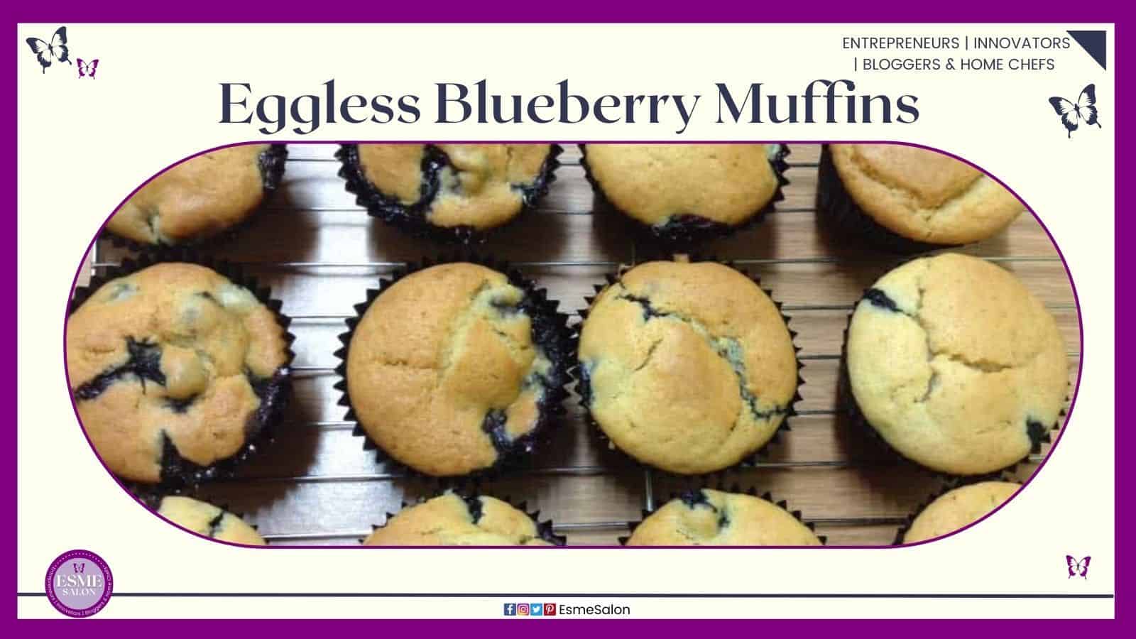 an image of a batch of Eggless Blueberry Muffins in paper casings