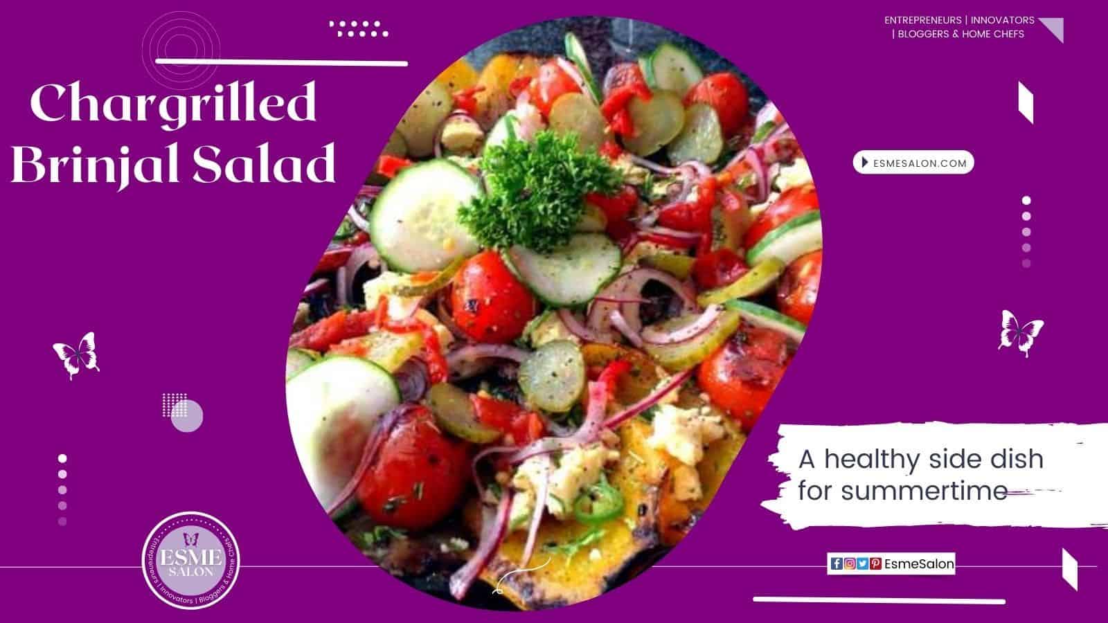 Chargrilled Brinjal Salad
