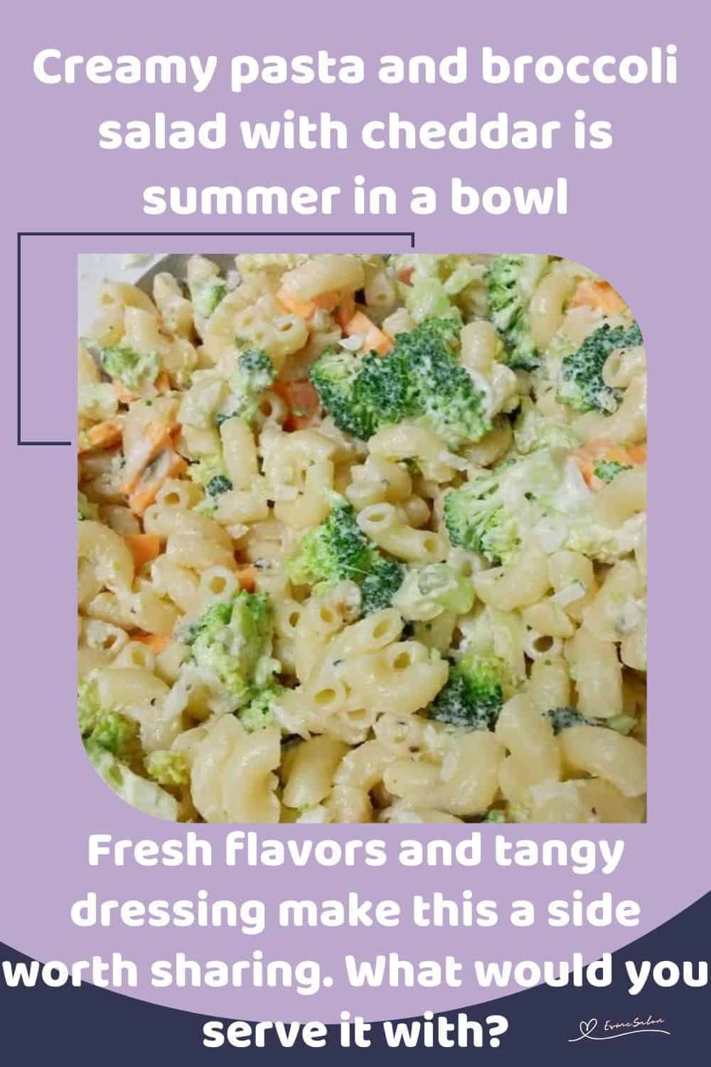 an image of a plate of Pasta and Broccoli Salad