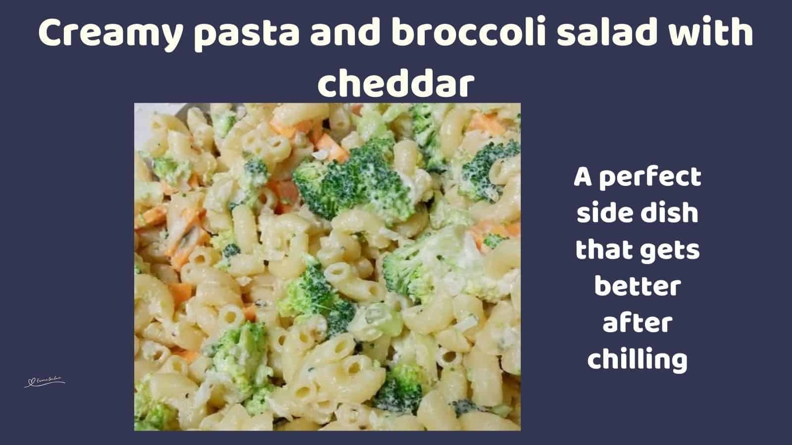 an image of a plate of Pasta and Broccoli Salad
