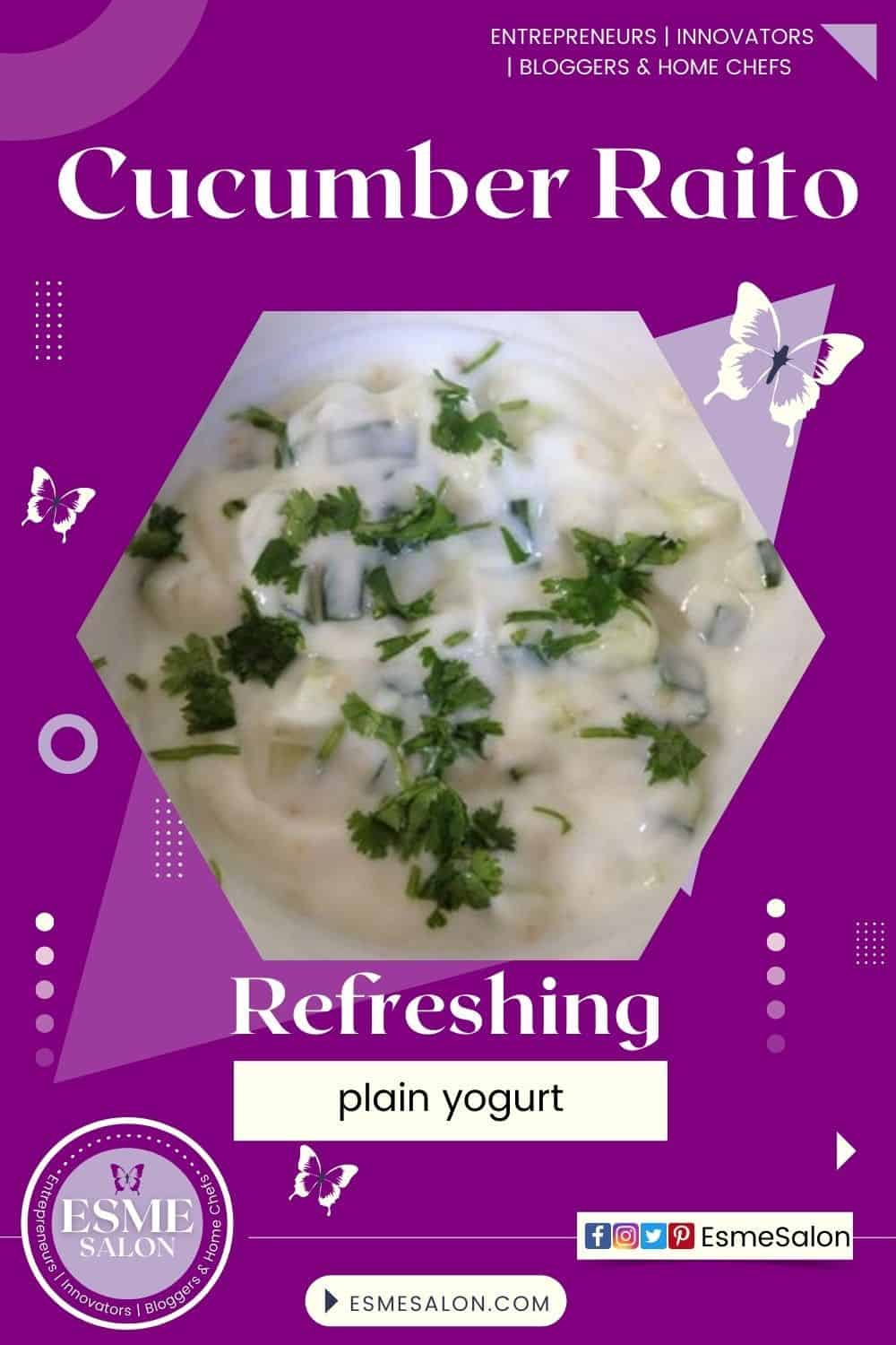 an image of a white bowl with refreshing yogurt Cucumber Raito