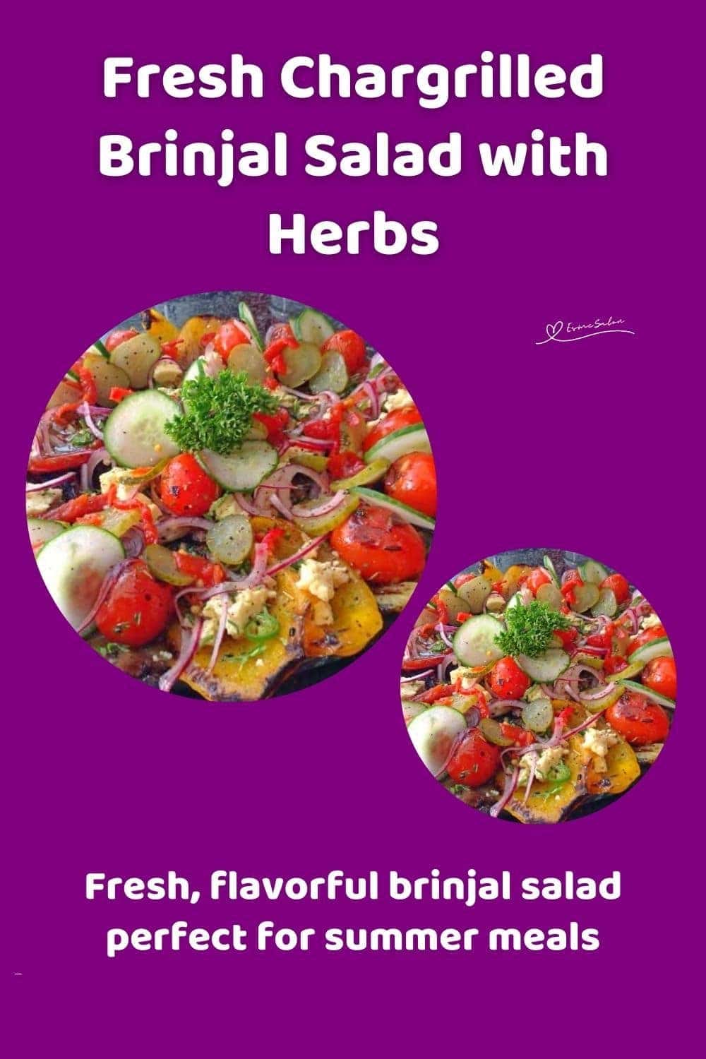 an image of a plate of Chargrilled Brinjal Salad