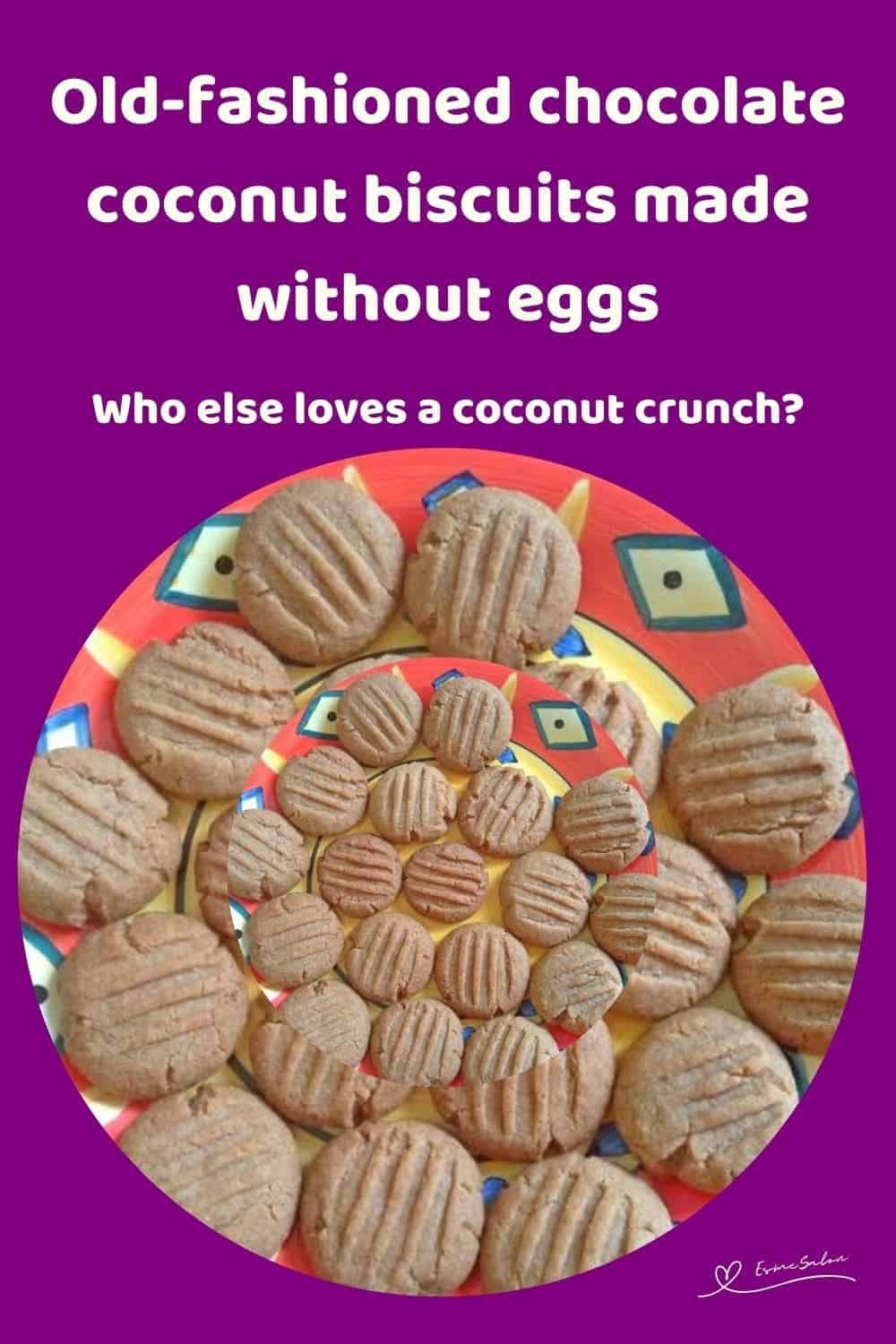 an image of Eggless Chocolate Coconut Biscuits