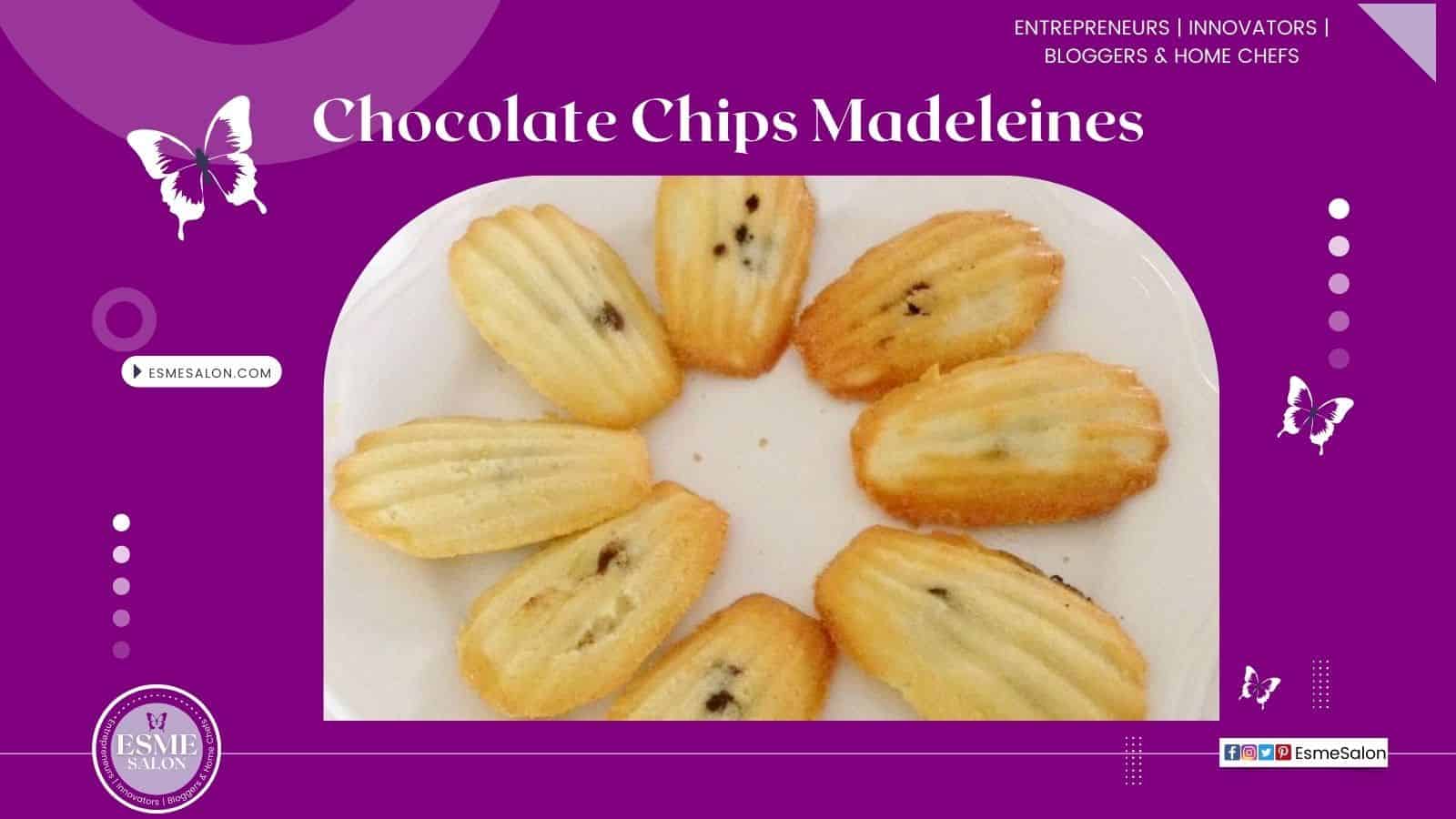 An image of a plate filled with wonderful tasty Chocolate Chips Madeleine