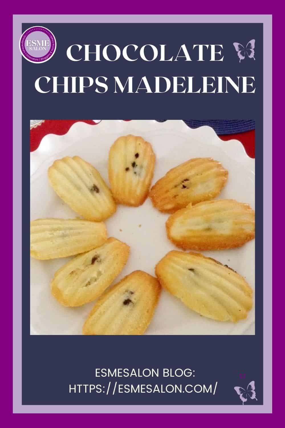 An image of a plate filled with wonderful tasty Chocolate Chips Madeleine