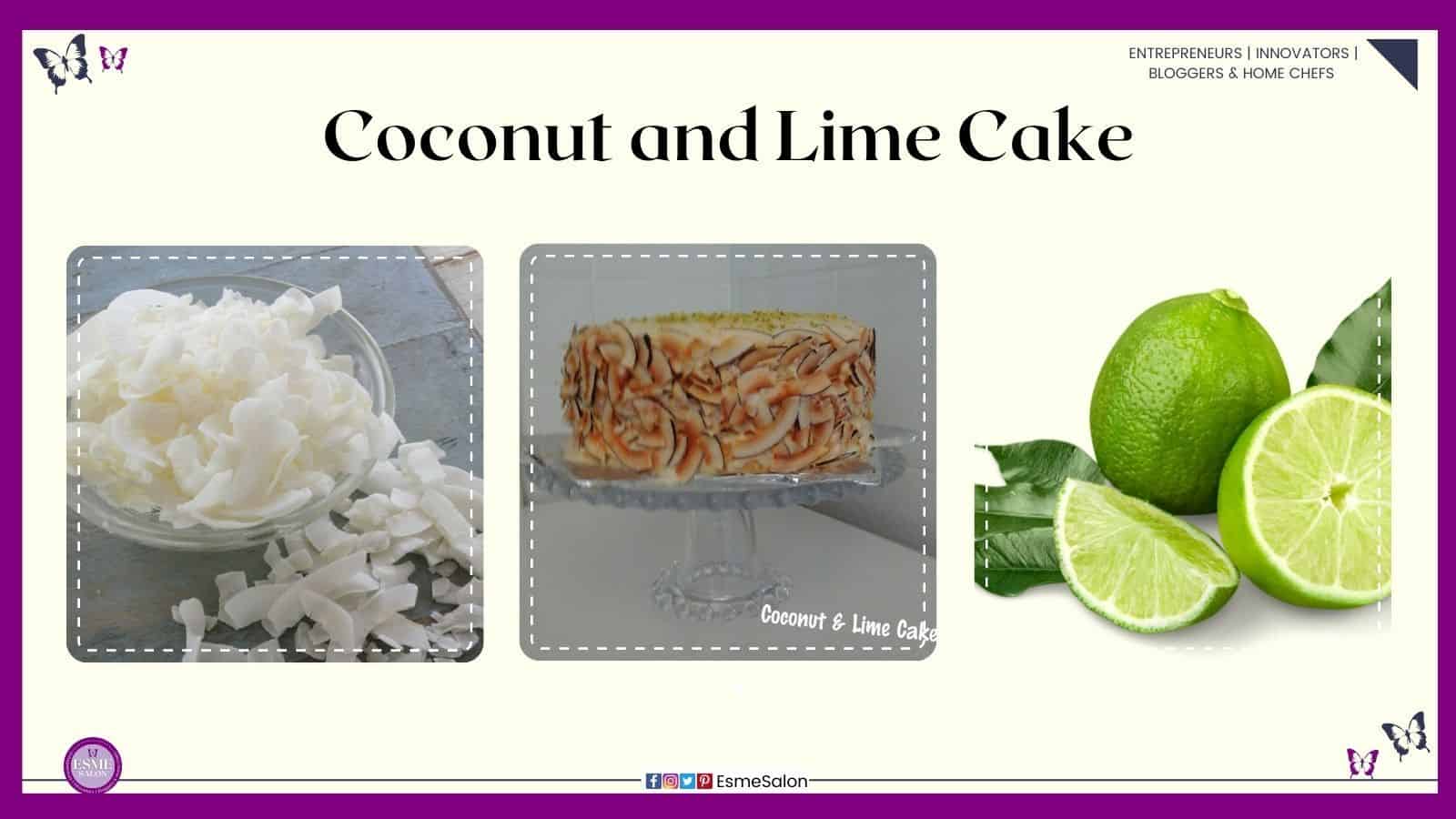 an image of a Coconut and Lime Cake with coconut slivers around the outside with grated lime on top on a cake stand