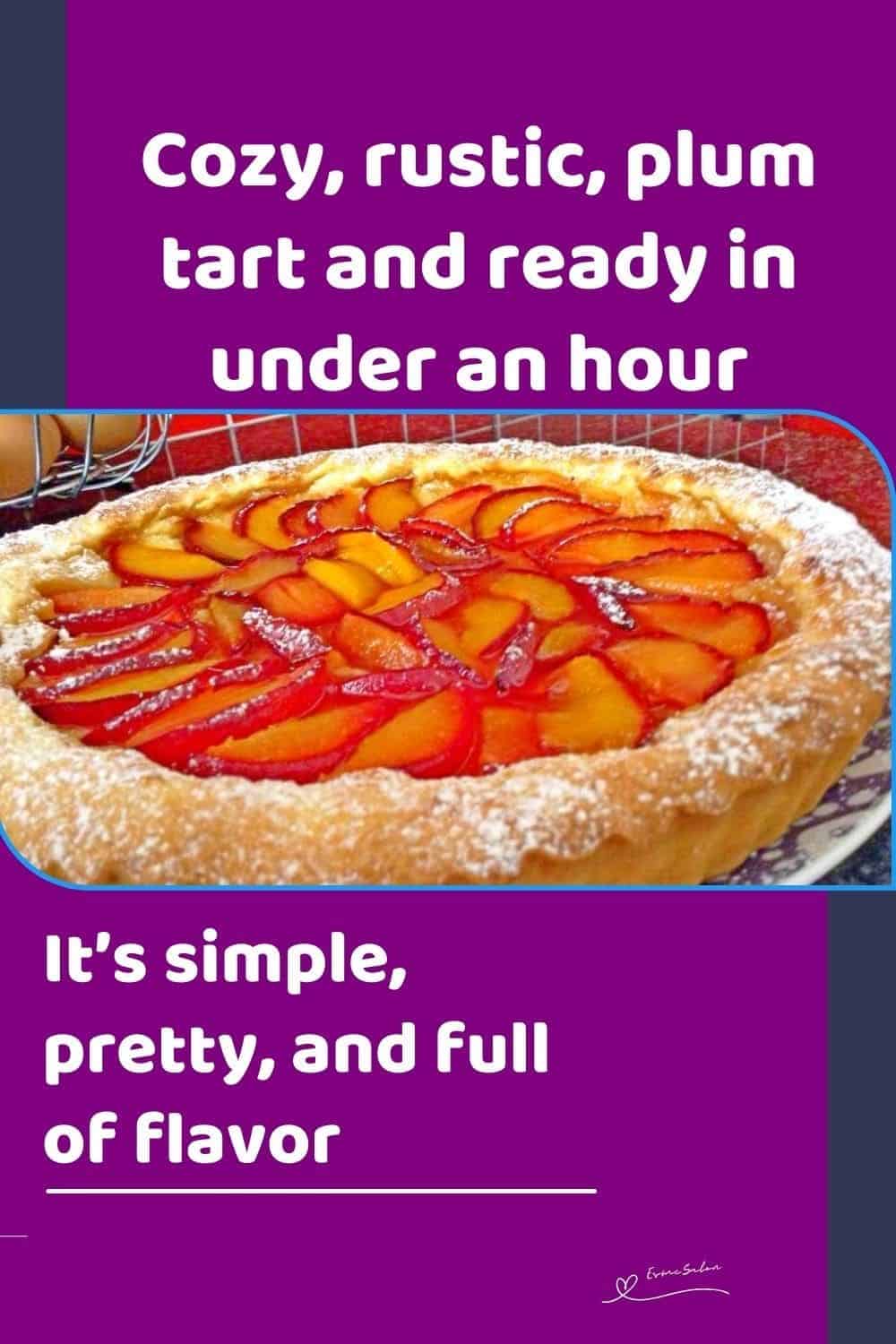 an image of a Plum Tart in a short-crust pastry