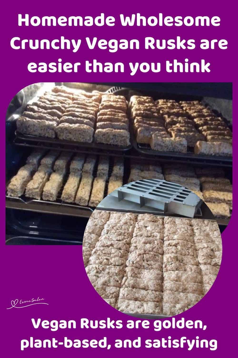 an image of Crunchy Vegan Rusks in the baking tray and oven