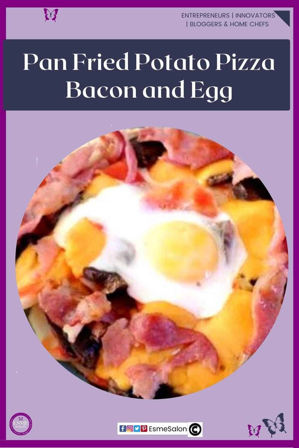 an image of a blue plate with a layer of potato as a base, and topped with bacon and egg