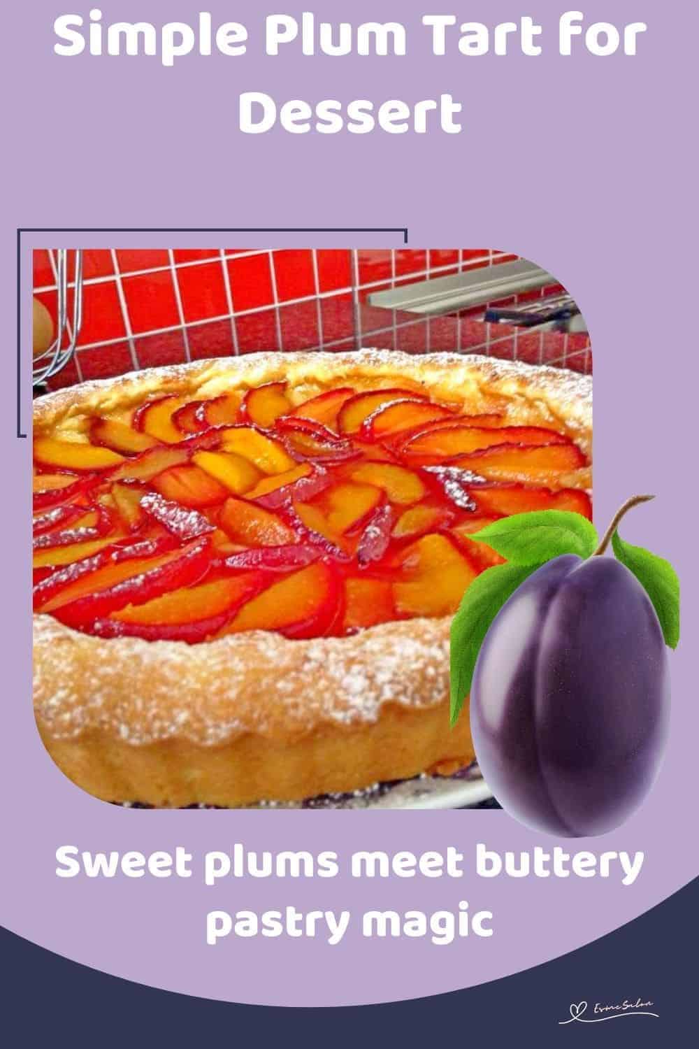 an image of a Plum Tart in a short-crust pastry