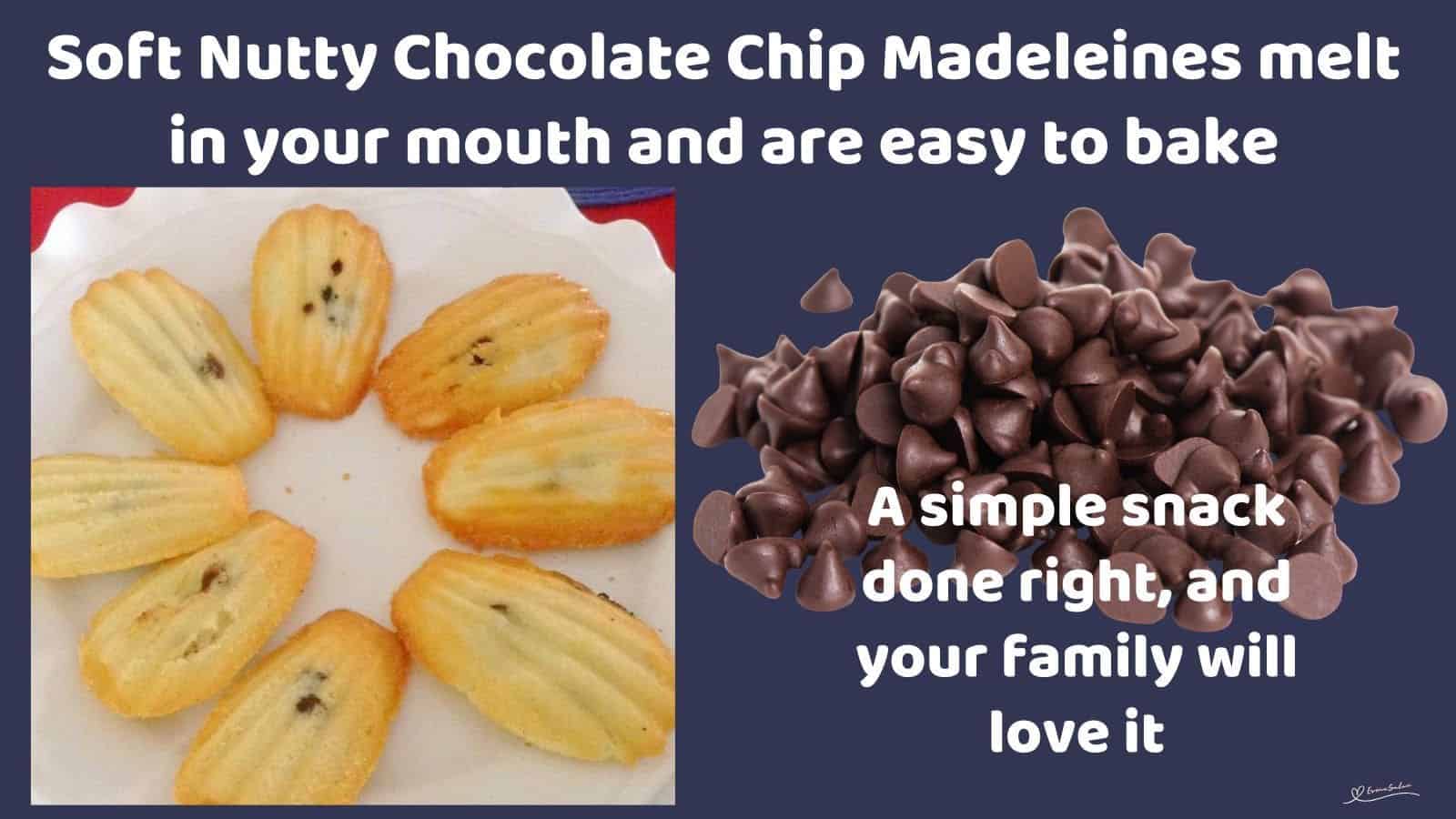 an image of 8 Nutty Chocolate Chip Madeleines displayed on a white plate