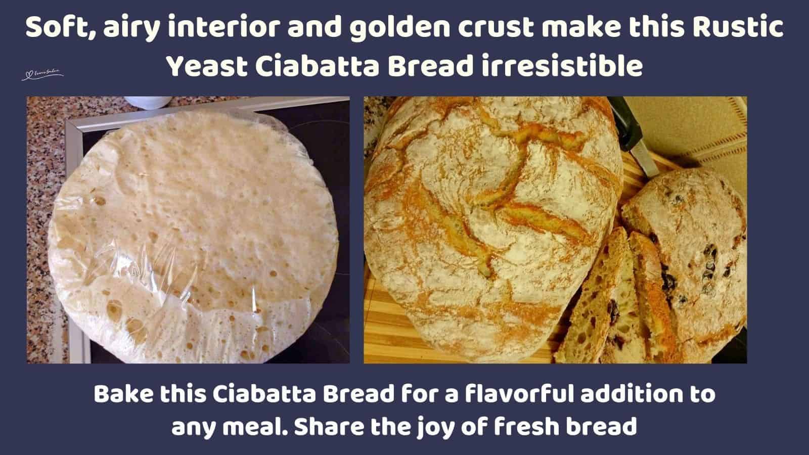 an image of a Rustic Yeast Ciabatta Bread