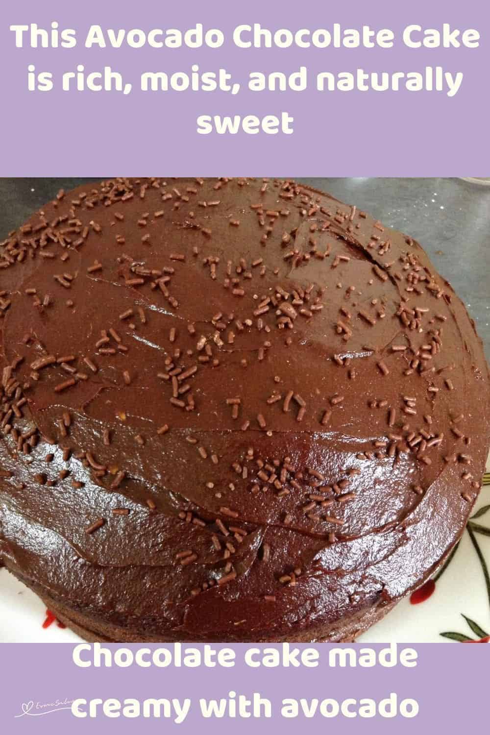 an image of an Avocado Chocolate Cake with Avocado frosting and chocolate sprinkles