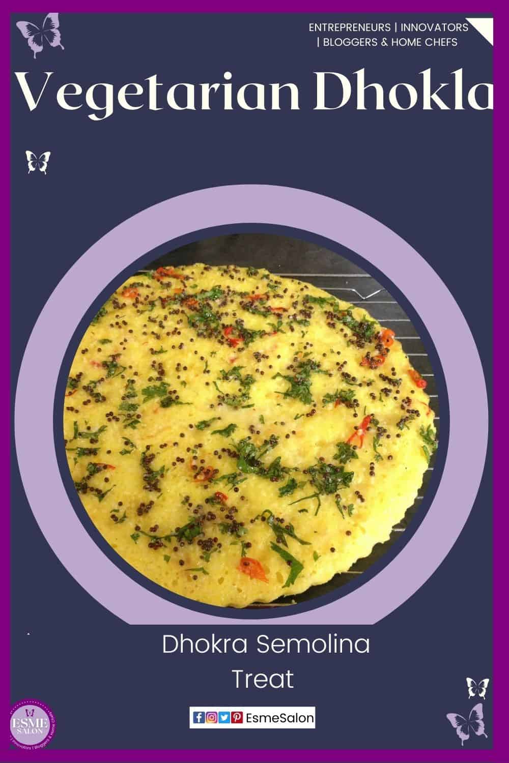 an image of an Indian semolina Dhokla/Dhokra delicacy