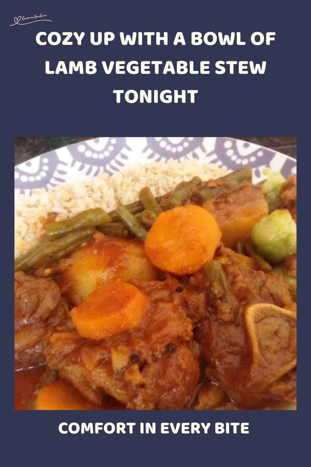 an image of a plate of Lamb Vegetable Stew