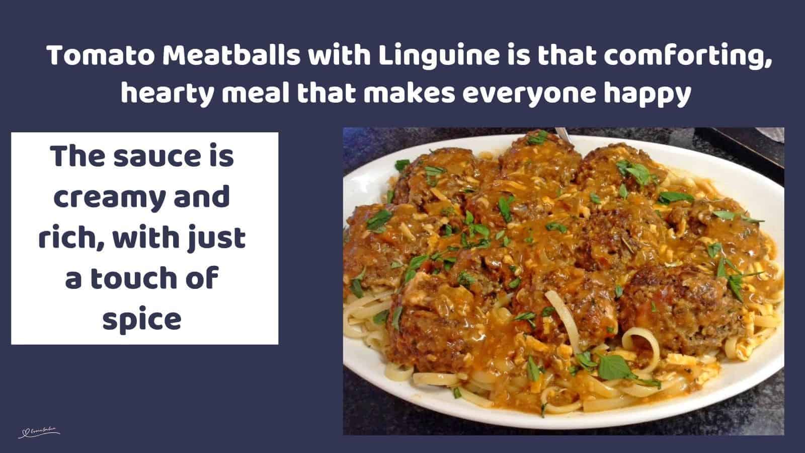 an image of a white bowl filled with Tomato Meatballs with Linguine
