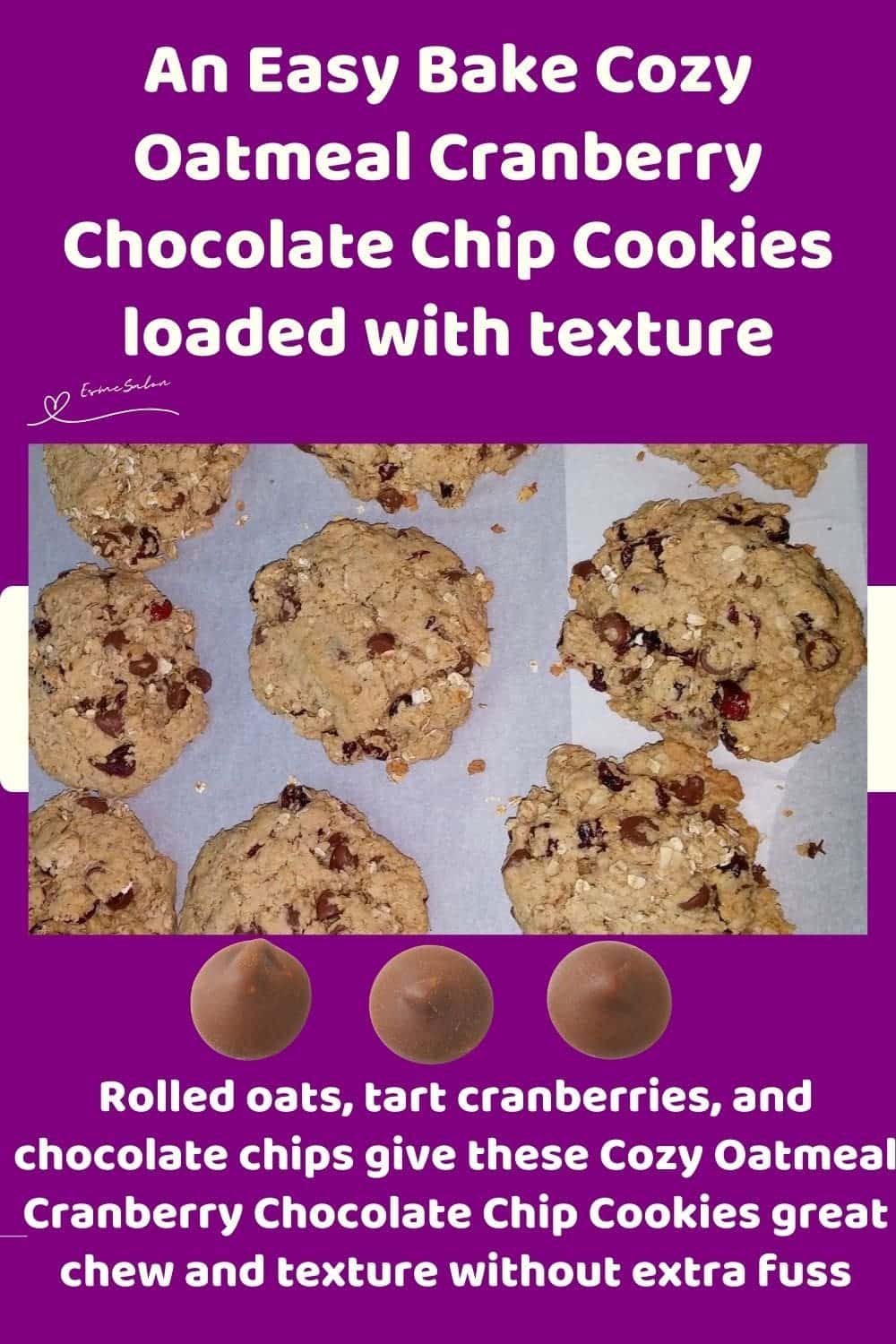 an image of Oatmeal Cranberry Chocolate Chip Cookies on a baking tray