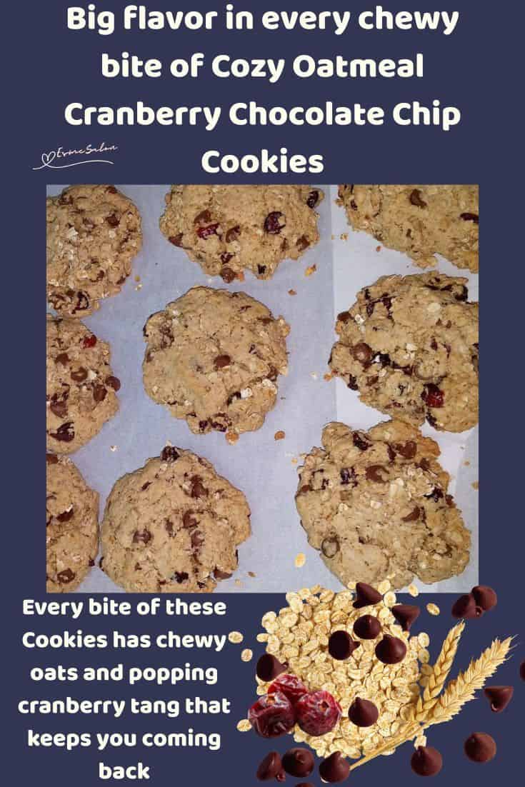 an image of Oatmeal Cranberry Chocolate Chip Cookies on a baking tray