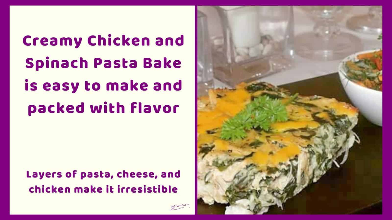 an image of a single serving of Chicken and Spinach Pasta topped with cheese