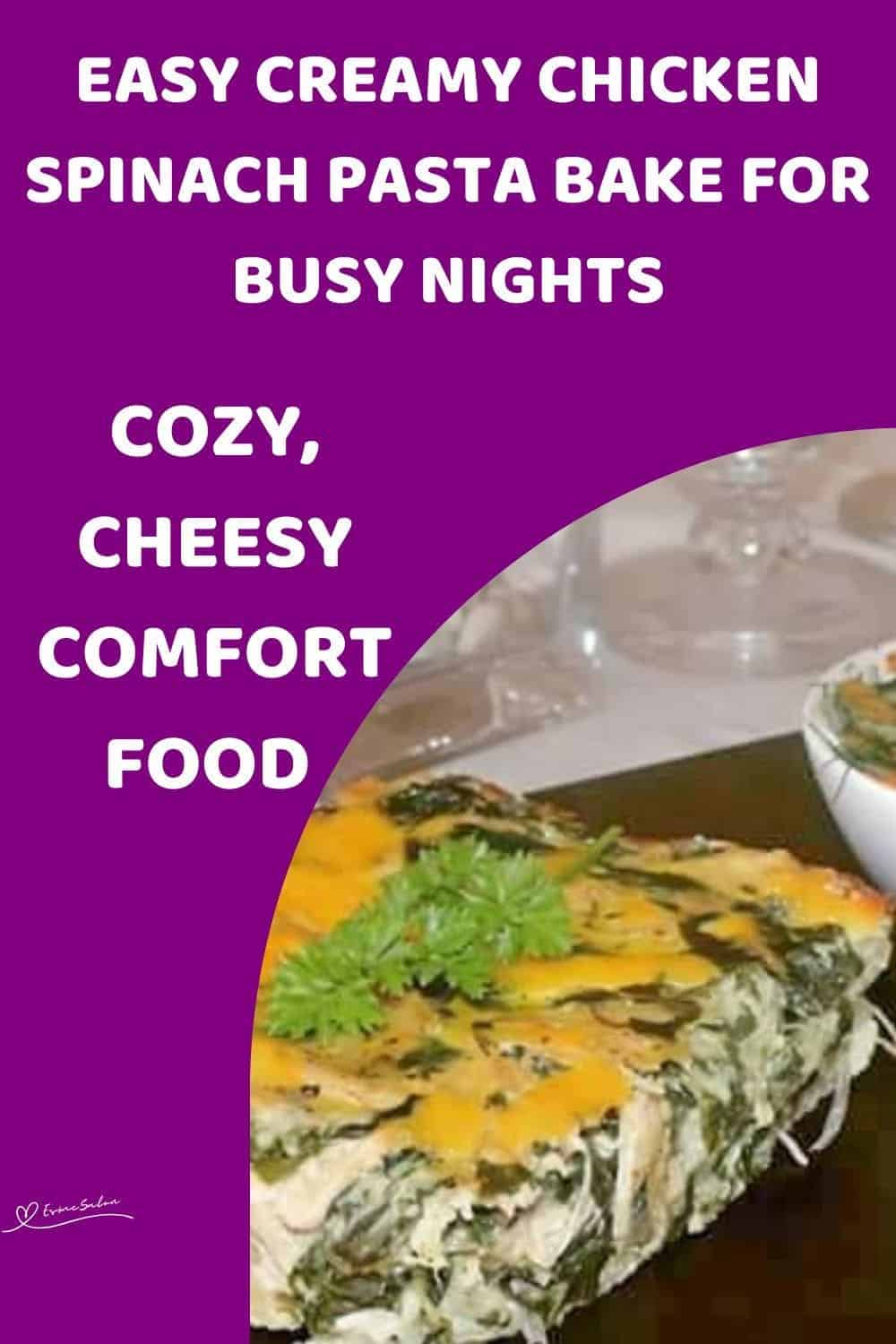 an image of a single serving of Chicken and Spinach Pasta topped with cheese