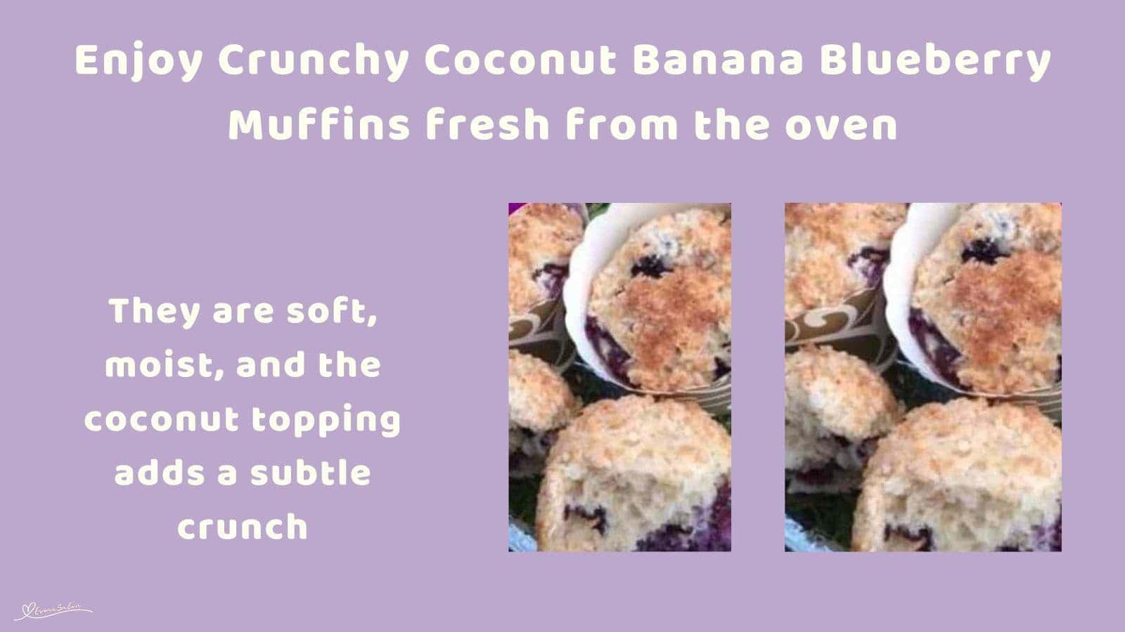 an image of Crunchy Coconut Banana Blueberry Muffins in muffin casings