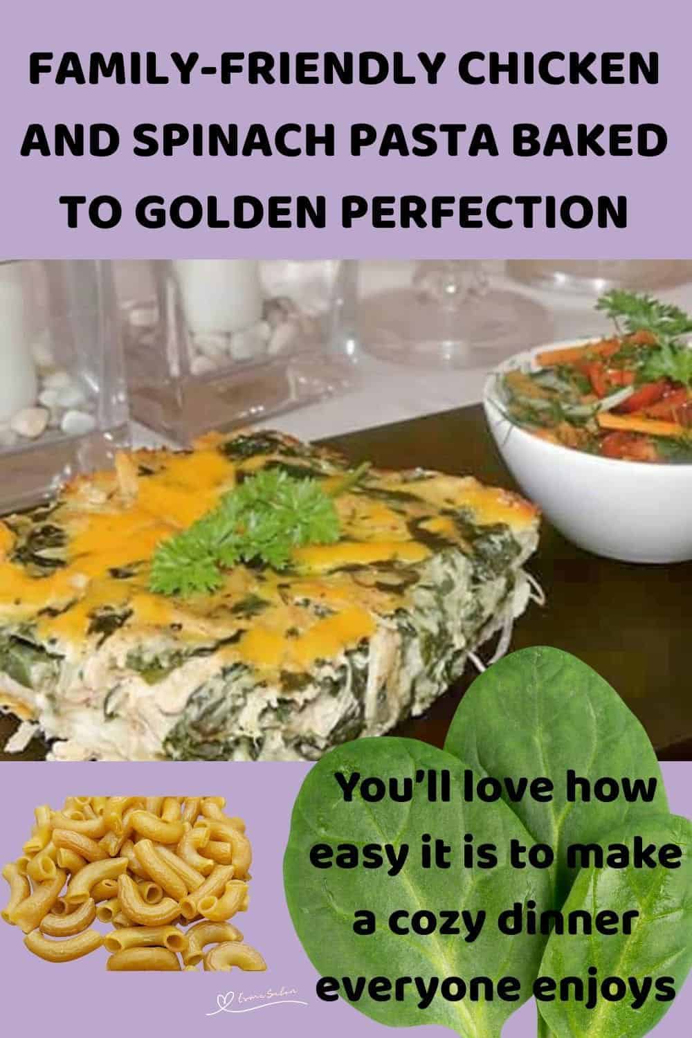 an image of a single serving of Chicken and Spinach Pasta topped with cheese