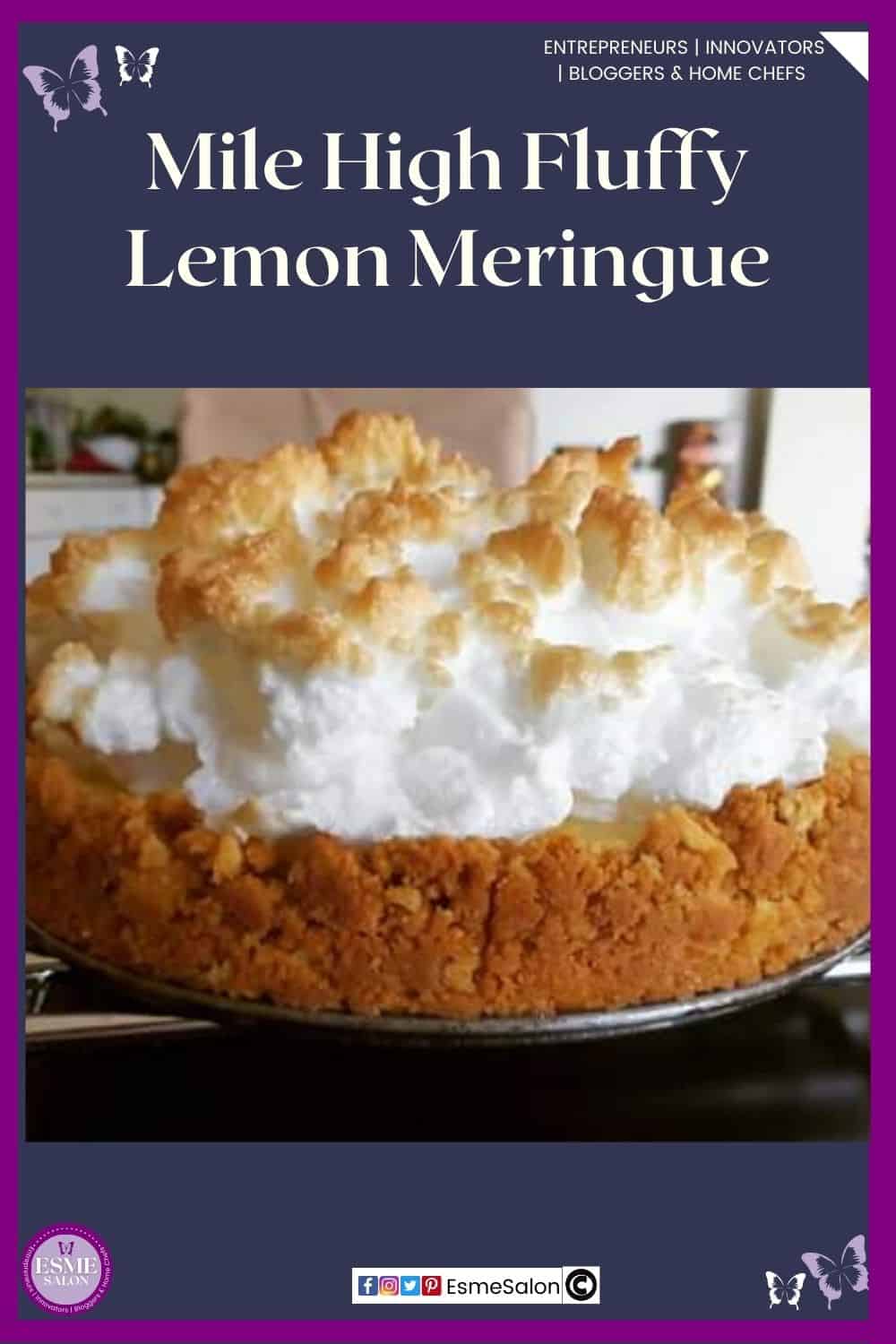 an image of a Lemon Meringue pie with cookie crust and a high pile of meringue
