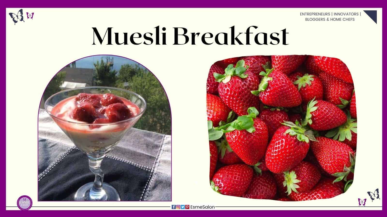 an long stemmed glass with delicious Muesli Breakfast and strawberries