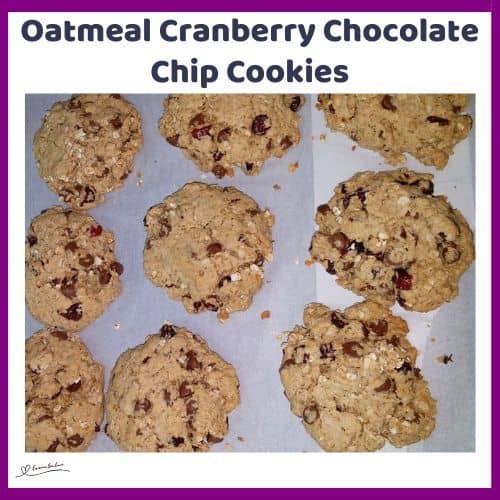 an image of Oatmeal Cranberry Chocolate Chip Cookies on a baking tray