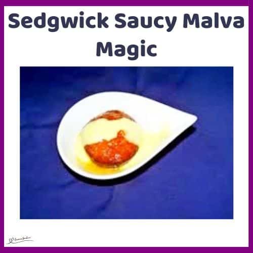 an image of a single serving of Sedgwick Saucy Malva Magic in a fancy white bowl