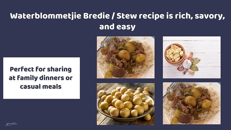 an image of a dinner plate filled with Waterblommetjie Bredie / Stew on Rice
