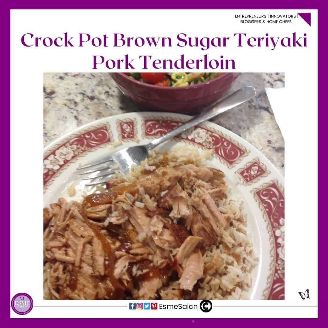an image of a white plate with a red patterned border filled with Brown Sugar slivered Teriyaki Pork Tenderloin