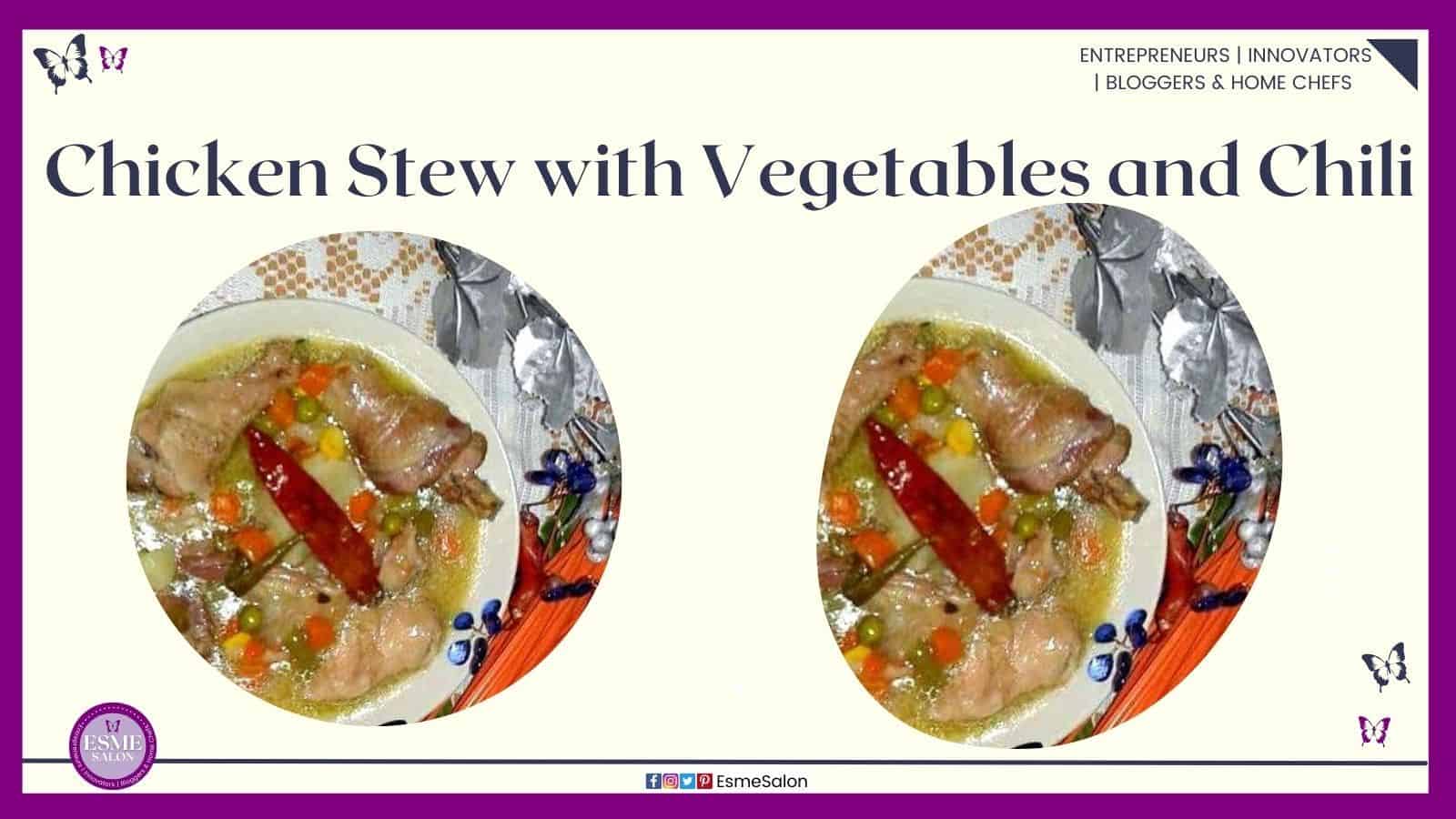 an image of Chicken Stew with Vegetables and Chili plated for serving with a red chili for flavor and decoration