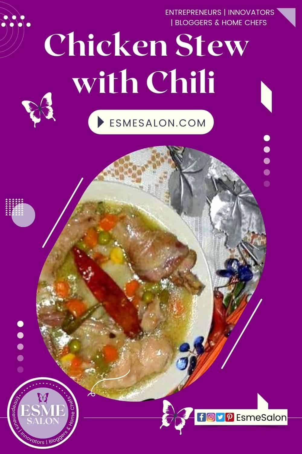 an image of Chicken Stew with Vegetables and Chili plated for serving with a red chili for flavor and decoration