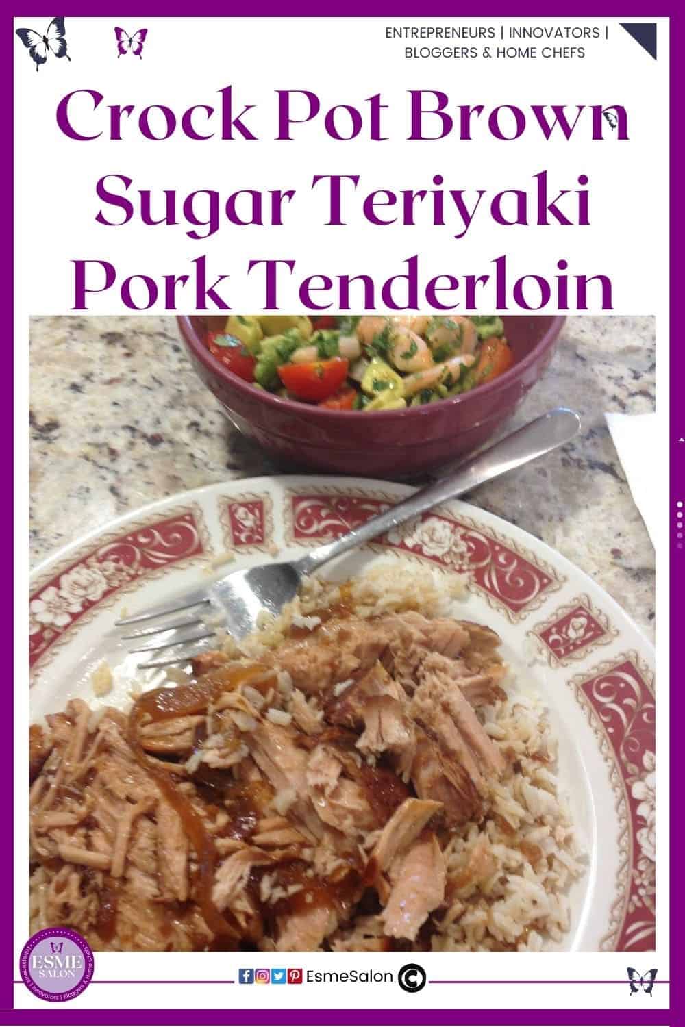 Crock Pot Brown Sugar Teriyaki Pork Tenderloin made in the Crock Pot with a salad in the side