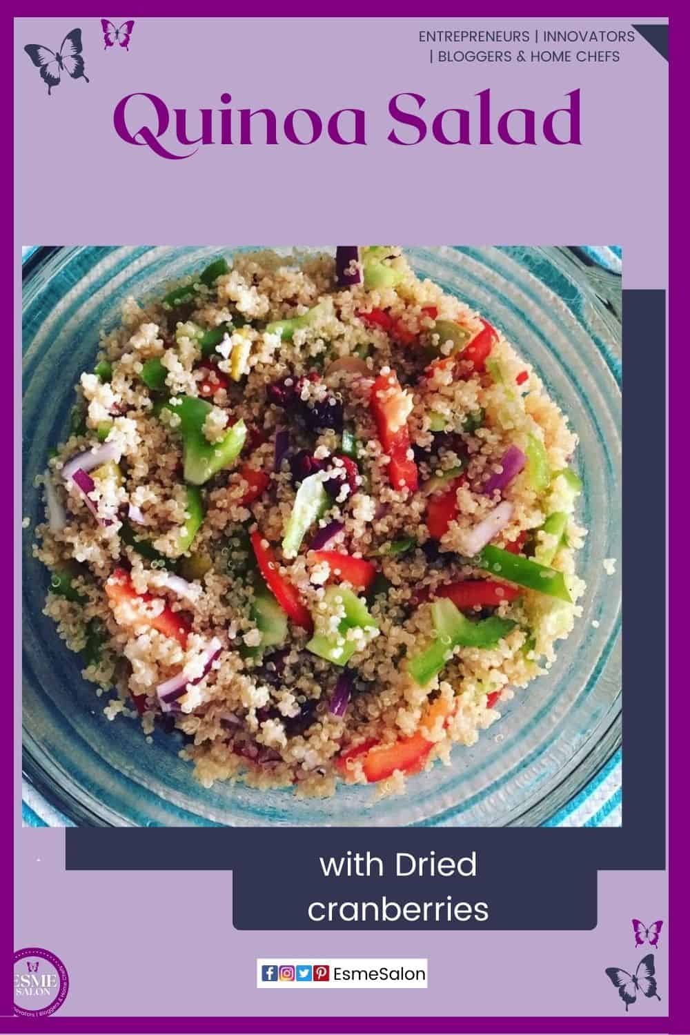 an image of a bowl of Quinoa Salad