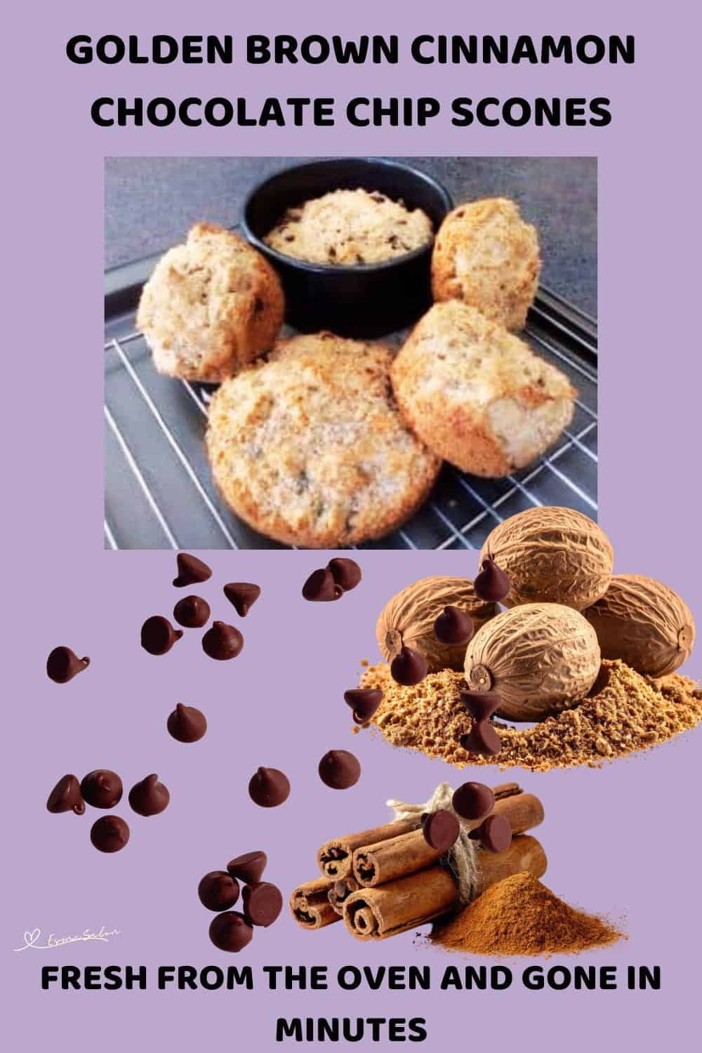 An image of Cinnamon Chocolate Chip Scones just out of the oven and cooling on a wire rack
