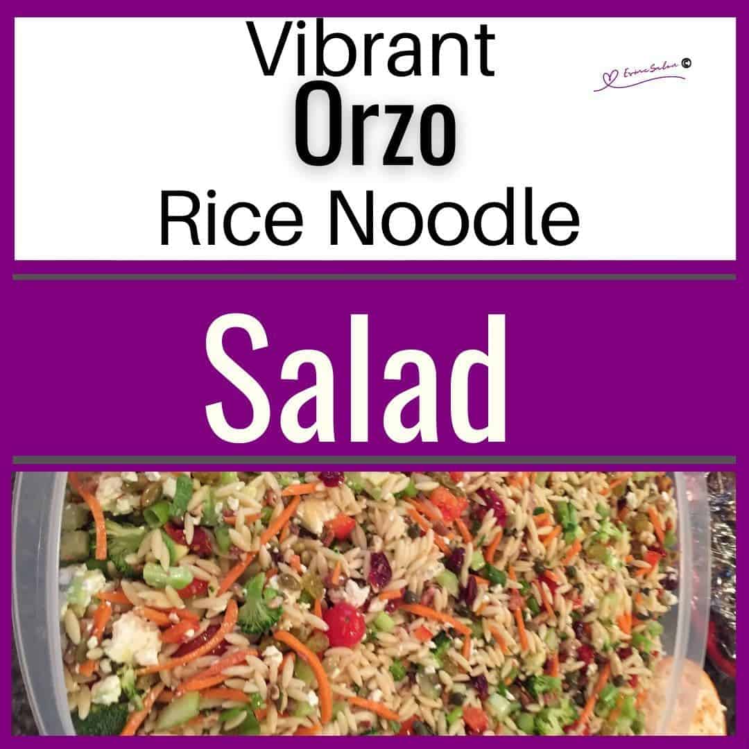 an image of a plastic container filled with Orzo Noodle Salad with lots of veggies, nuts and dried fruit