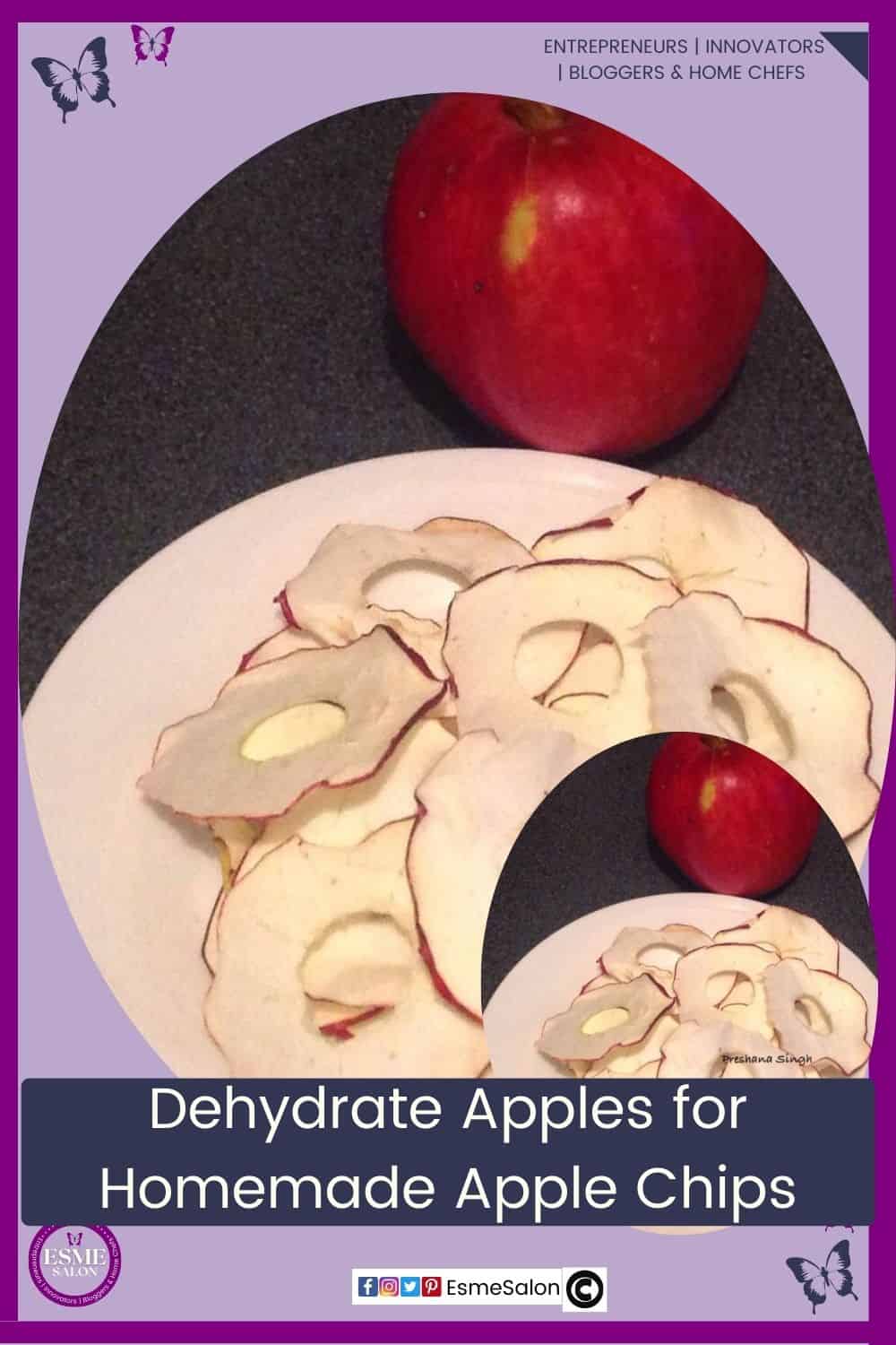 an image of a red apple as well as dehydrated Homemade Apple Chips on a white plate